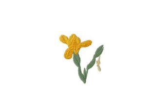 Iris: A Designer's Review for Sweatshirt Embroidery