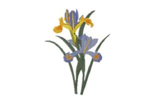 Iris Beauty: A Vintage-Inspired Embroidery Design for Boutique Sweatshirts