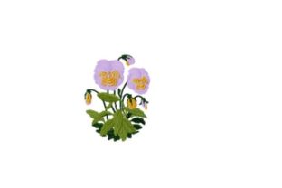 Pansy: A Charming Embroidery for Personalized Gifts