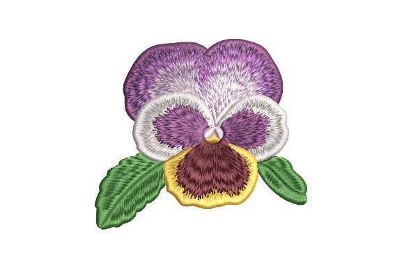 Pansy Flower Bud: A Designer’s Real-World Review
