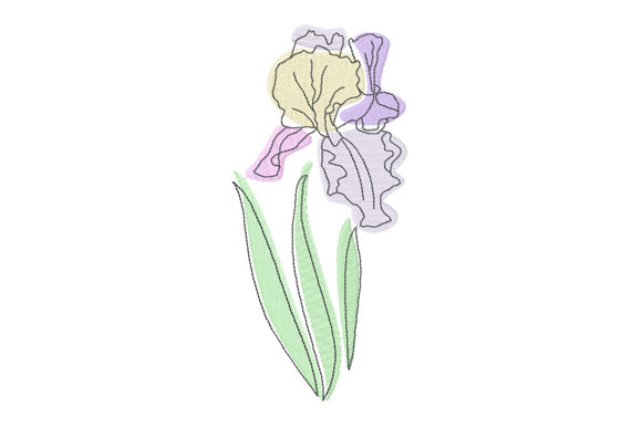 Pastel and Line Art Iris Flower: A Designer’s Review for Apparel Embroidery