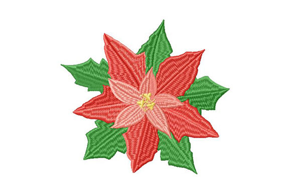 Poinsettia Christmas Star: A Review for Gift Embroidery Lovers